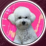 🐶 КОКСИК TON (CHANNEL)