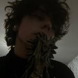 СОЖЖЕННЫЙ В САЛЕМЕ