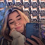 здесь живут котики🐾🐈