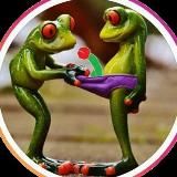 Zalupa.lyagushki хардрок