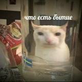 мемы для отсидки
