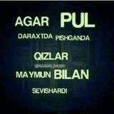 QASHQADARYO KOSON 😎