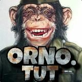 orno.tut