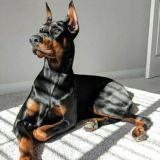 𝓢𝓾𝓷𝓼𝓱𝓲𝓷𝓮💎