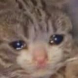 Стикеры на заказ из вашего фото!!!