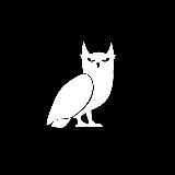 Новый университет