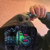 Жизнь в туалете