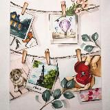 Реквизиты Dreamlab