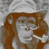 Der Bondaffe