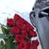 ️ ТВОЯ УДАЧА ️