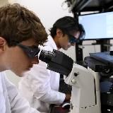 Биофизика и медфизика - все для изучения биологической и медицинской физикии