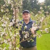 Сад Дмитрия forumsad Дача, плодовые и декоративные растения