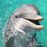 Relax Travel | Турагентство | Туры из Казани