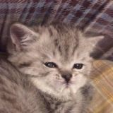 невкусно и грустно