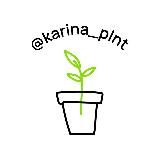 Plnt.ru закупки из Китая