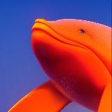 Трейдер здесь! News