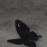 𝔇𝔲𝔰𝔥𝔢𝔳𝔫𝔬𝔬𝔬💛