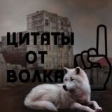 Цитаты от Волка