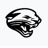 Большие новости