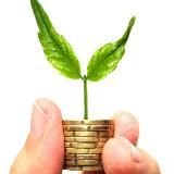 Инвестируем с умом