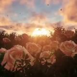 Благодарное сердце