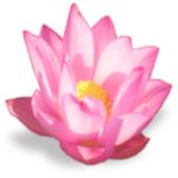 Блог частного преподавателя Алекса