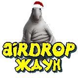 AIRDROP ЖДУН 🐳