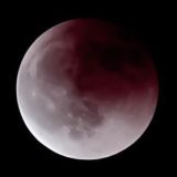 ``𝘯𝘢𝘵𝘶𝘳𝘢𝘭 𝘤𝘩𝘢𝘳𝘮 𝘤𝘰𝘮𝘱𝘢𝘯𝘺