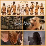 𐌡ᥙᥴья 𐋏᧐ρᥲ 🦊📓