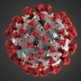 Новости - Россия/Украина/18+/армия Z