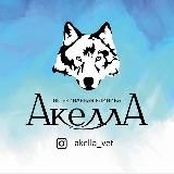 Akella_vet
