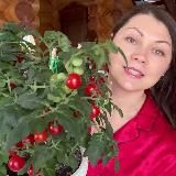 Машины секреты💚