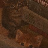 ꒰ мup uгруɯек! 🍂