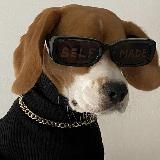 ꧁༺ 𝐊𝐀𝐑𝐓𝐈𝐍𝐊𝐈 𝐙𝐀𝐒𝐓𝐀𝐕𝐊𝐈 ༻꧂