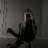 звёздочки от лолы