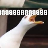 Помощь беженцам (ЕВРОПА)