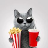 TONYFILM - Фильмы | Сериалы