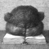 Важные вещи