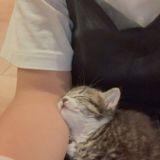 𓏲࣪ ៹֪ ʾ۫ׄ 🪐 𝇃𝇁 ֶָ ׄ 현실의 토끼 𓈒ׅ ১ׄ ִ𝆭˒ ˓ , ゙⃞᪹ ִ۫ ֪ ʾʿ۪ ֹ ︪︩