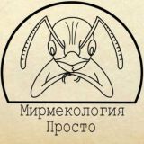 Мирмекология– Просто | Образовательный центр