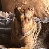 Транжире от транжиры