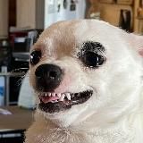 2:56 after sunrising