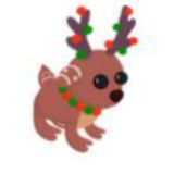 Обсуждения розигриша/чат