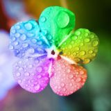 Storis в Instagram | Фоны /картинки для макетов