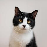 ДОБРЫЙ ДОМ | ХАБАРОВСК