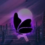 🦋NIGHT BUTTERFLY TEAM || ВЫПЛАТЫ || ИНФОРМАЦИЯ