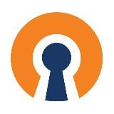 Open VPN от 150 рублей