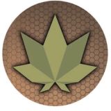 כיוונים אשקלון והסביבה 🍀