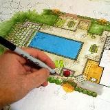 Растения: купля, продажа, обмен ☘️