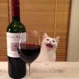 Yчимся хамить красиво